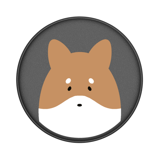 Animals - Shiba Inu Dog