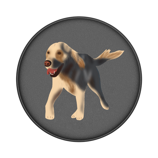 Dog - Golden Retriever