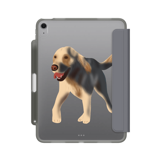 Dog - Golden Retriever