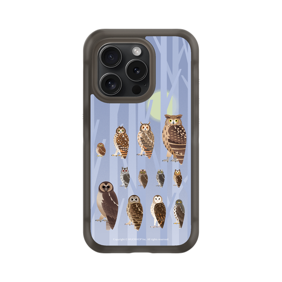Miniature Field Guide-Owls(Color)