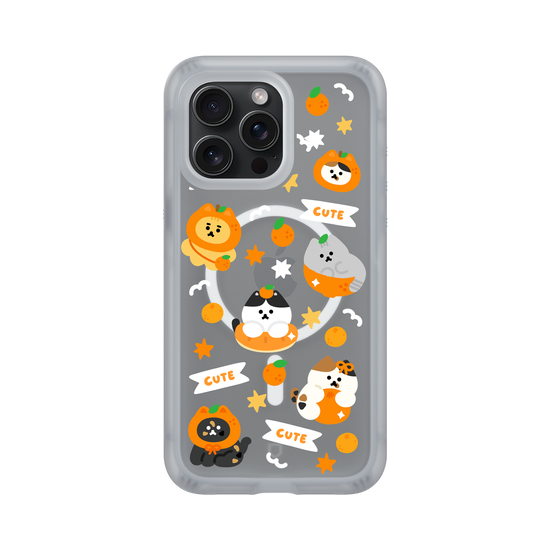 Orange Cat 🍊