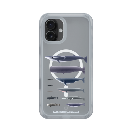 Miniature Field Guide-Whale(Clear)