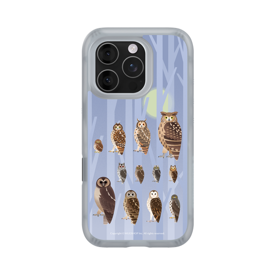 Miniature Field Guide-Owls(Color)