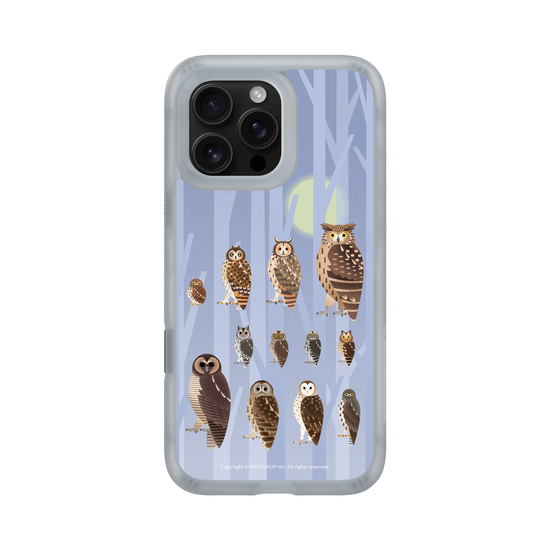 Miniature Field Guide-Owls(Color)