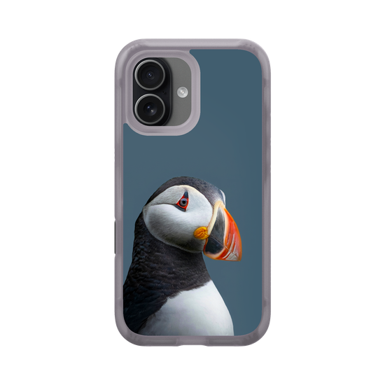 Puffin