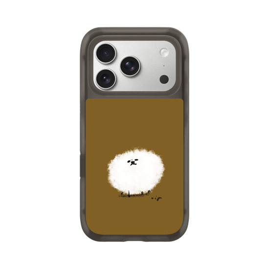 A spherical Pomeranian