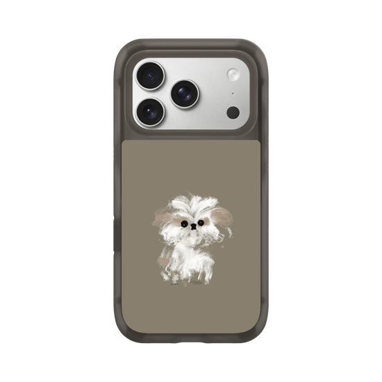A little Shih Tzu