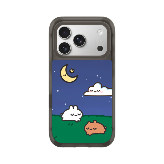 a peaceful sleepy night