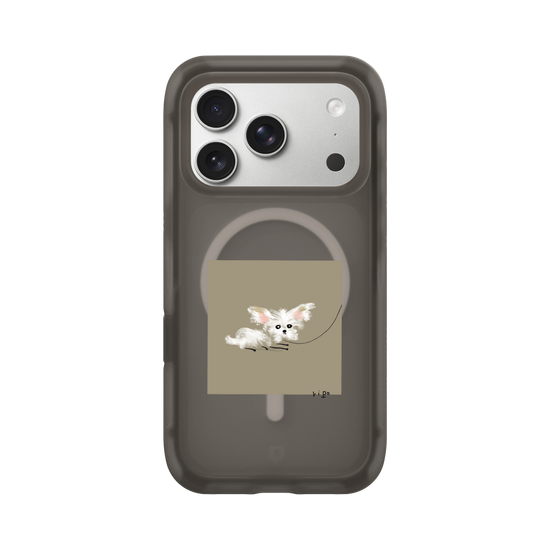 small white dog