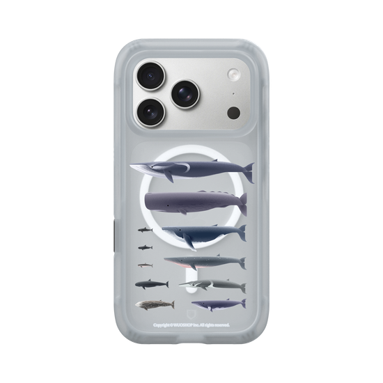 Miniature Field Guide-Whale(Clear)