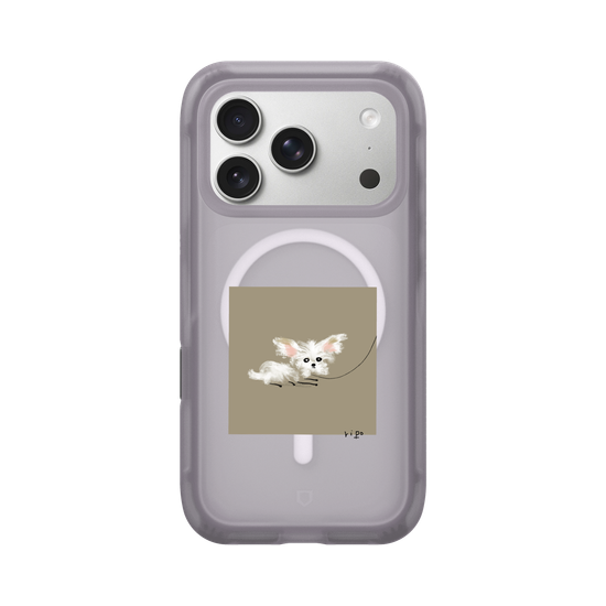 small white dog