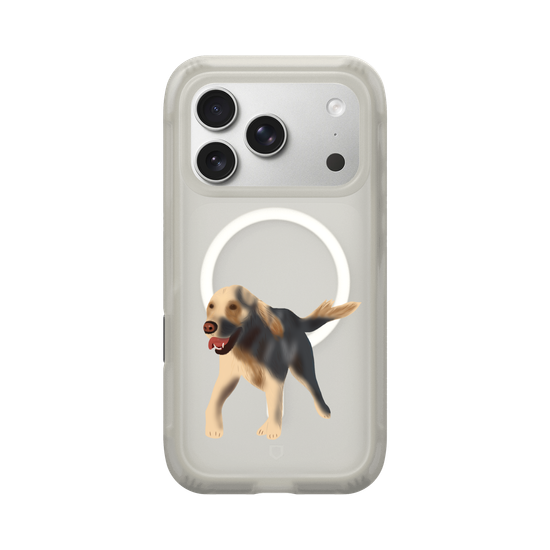 Dog - Golden Retriever