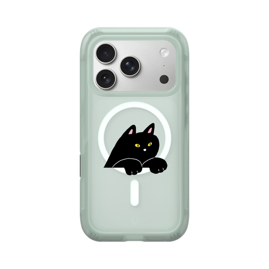 black cat