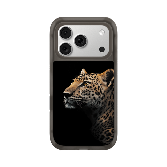 Indochinese Leopard