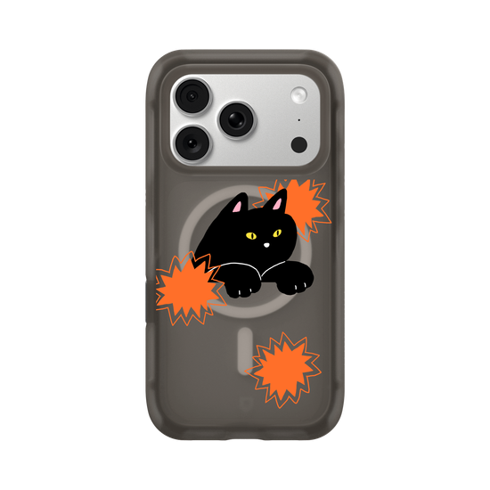 black cat