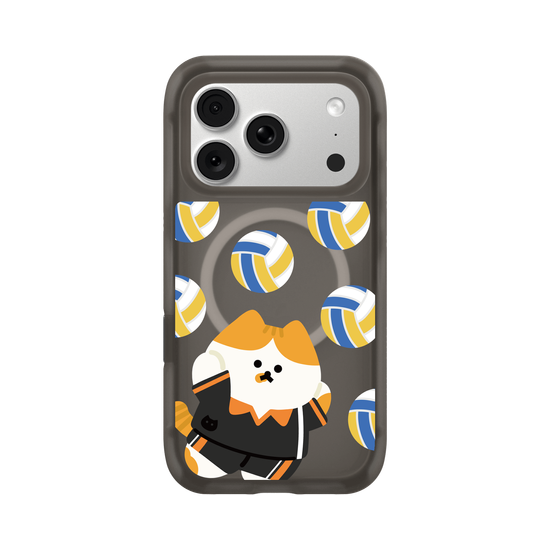 Volleyball Cat
