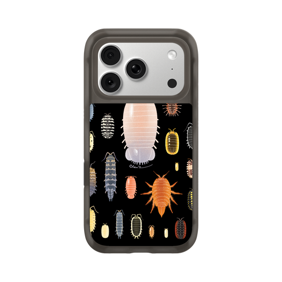 Isopoda