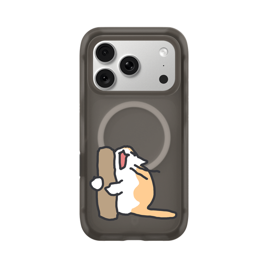 What is the cat doing?