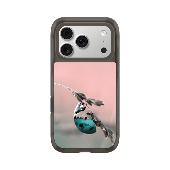 Aquanimal Ladybug