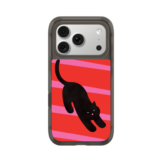 A Stretching cat