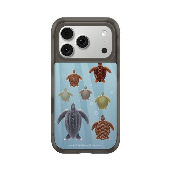Miniature Field Guide-Sea ​​Turtle(Color)