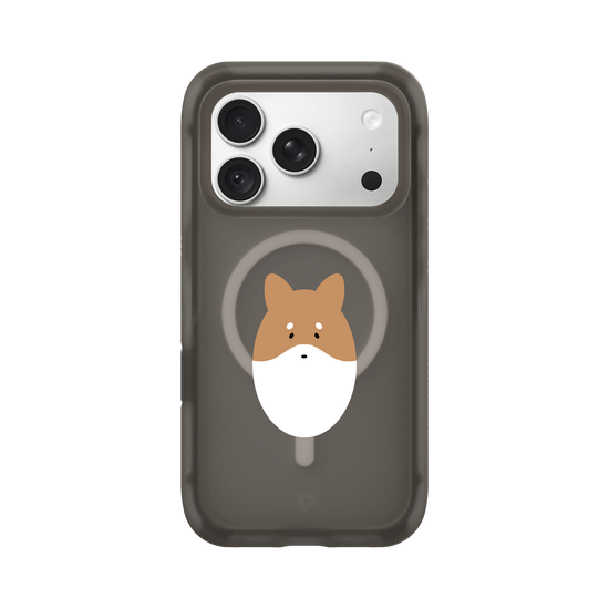 Animals - Shiba Inu Dog