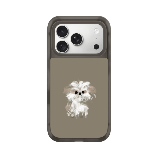 A little Shih Tzu