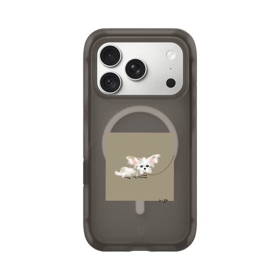 small white dog