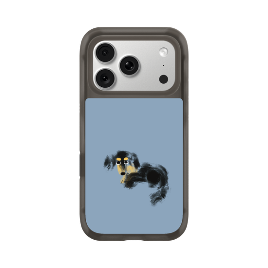 a tiny dachshund