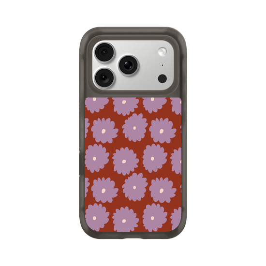 lilac daisy