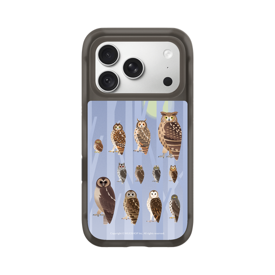 Miniature Field Guide-Owls(Color)