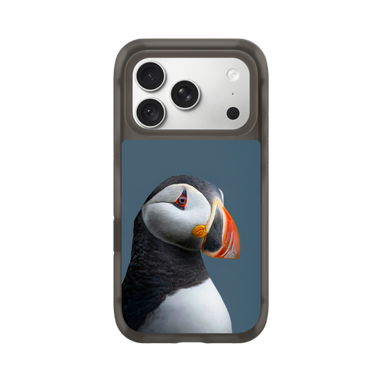 Puffin