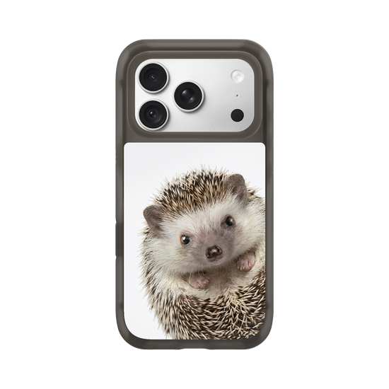 Hedgehog