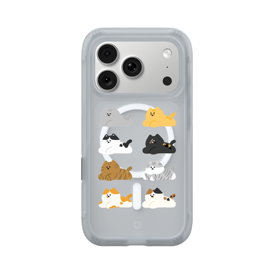 many cats 