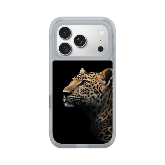 Indochinese Leopard
