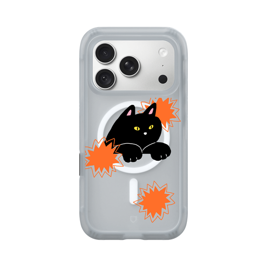 black cat
