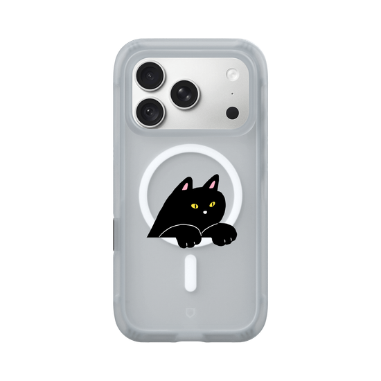 black cat