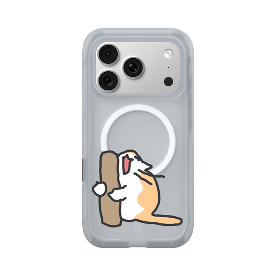 What is the cat doing?