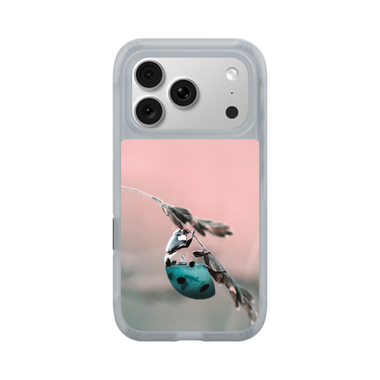 Aquanimal Coccinelle