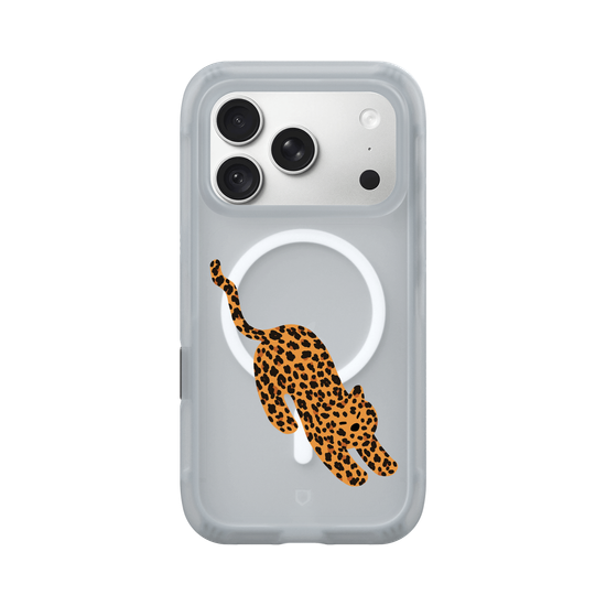 A Stretching Leopard