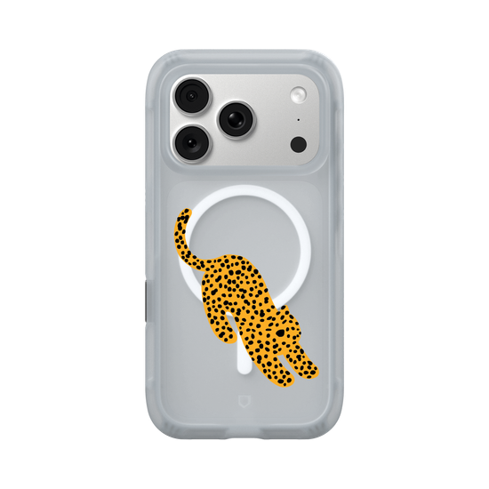 A Stretching cheetah