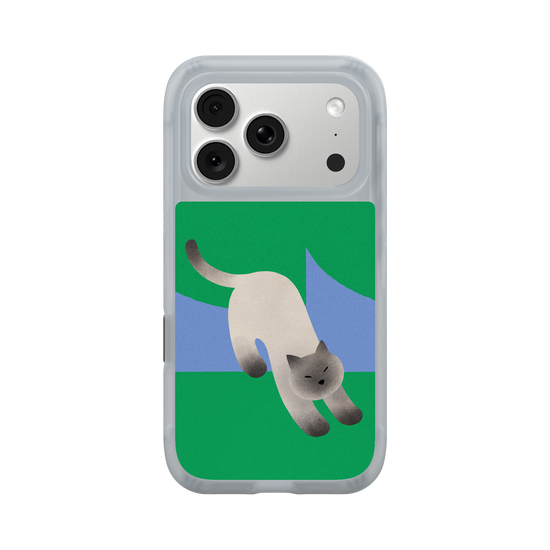 A Stretching cat