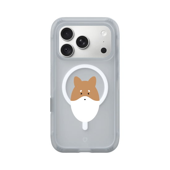Animals - Shiba Inu Dog