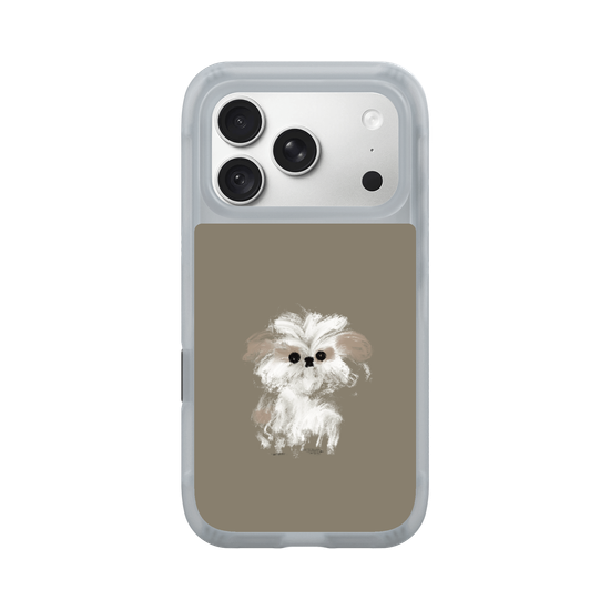 A little Shih Tzu