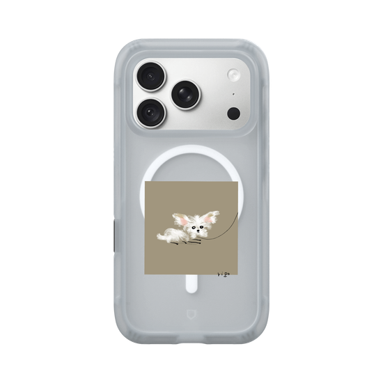 small white dog