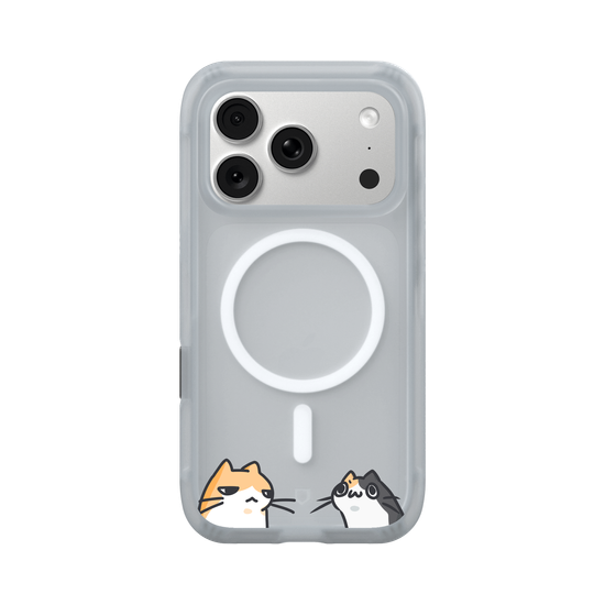 Gatos Mirándose