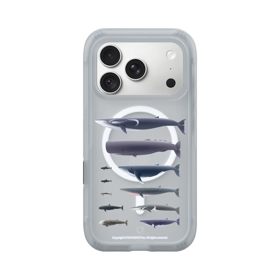 Miniature Field Guide-Whale(Clear)