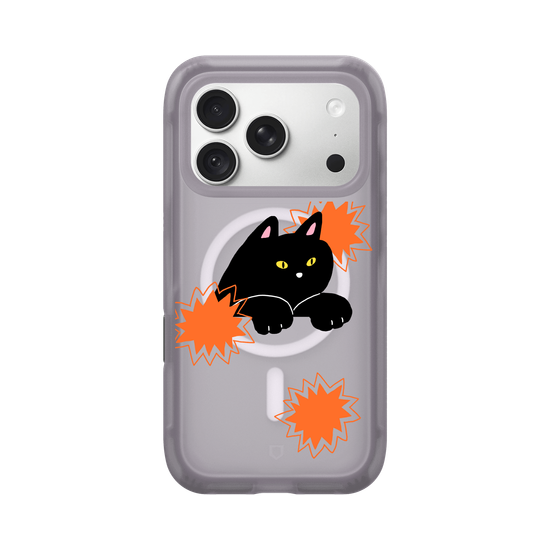 black cat