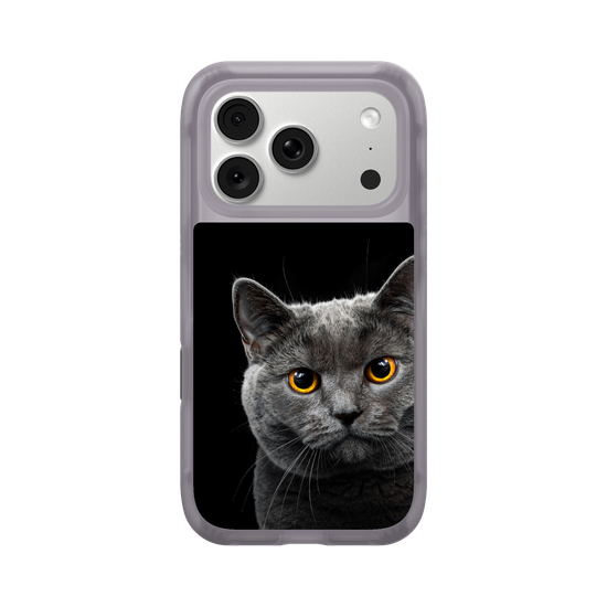 Gato Gris