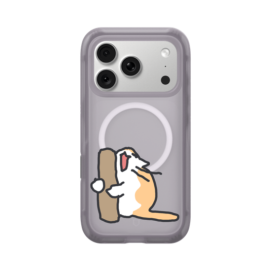 What is the cat doing?